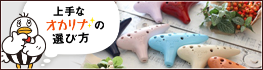 ���ȃI�J���i�̑I�ѕ�