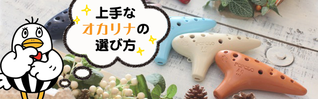 ���ȃI�J���i�̑I�ѕ�