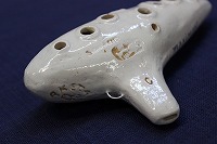 �A�P�^�@�I�J���[�i�@�j���[�E�}�L�V�}�[��