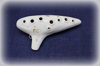 �A�P�^�@�}�L�V�}�[��