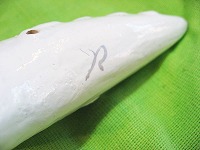 �i�A�P�^�j�I�J���[�iRS-5C