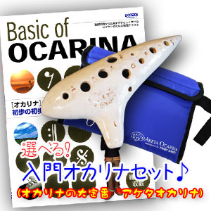 �i�A�P�^�I�J���[�i�j����Z�b�g