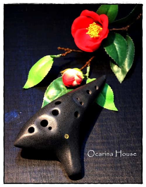 �iSORA�j�I�J���i�@�A���gC�ǁ@�F�{�����h�̍�i�@�y���X���i�ρz