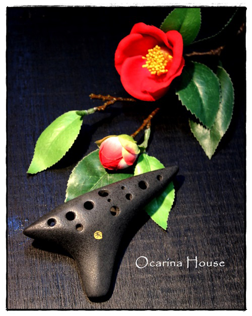 �iSORA�j�I�J���i�@�\�v���mC�ǁ@�F�{�����h�̍�i�@�y���X���i�ρz