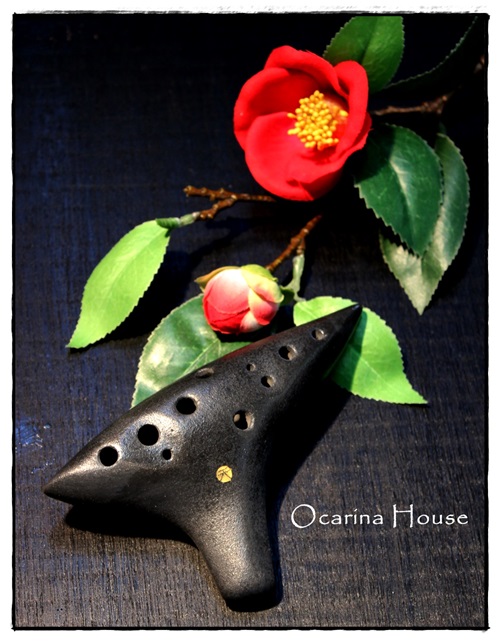 �iSORA�j�I�J���i�@�\�v���mG�ǁ@�F�{�����h�̍�i�@�y���X���i�ρz