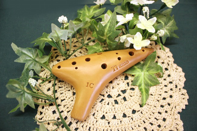 �e�B�A�[���@�I�J���i�@�C�^���A�[�i�@�\�v���mC