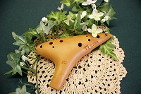 �C�^���A�[�i�@���t�p�@�\�v���mG