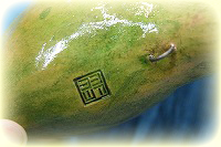 ヨシツカ オカリナ アルトF管